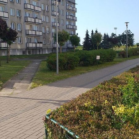 Apartament Wik-Mar Διαμέρισμα Έλμπλαγκ Εξωτερικό φωτογραφία
